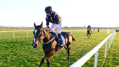 Brandy Love is now a favourite with nags' favourite.  Beginner's & # 39;  Almana in Cheltenham